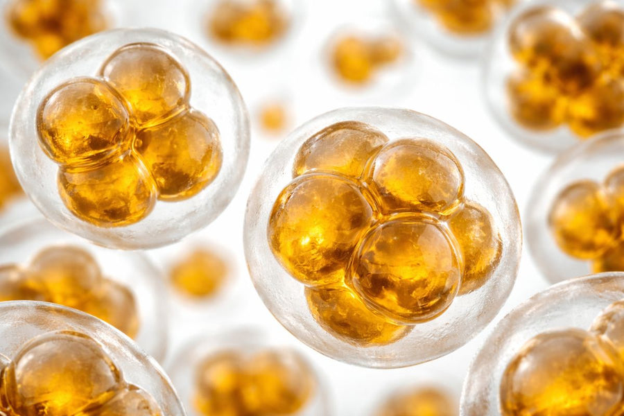 Ceramidy w kosmetykach - jak wpływają na skórę?